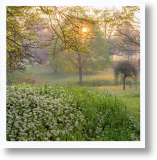 Forde Abbey, Scenic Blank Card