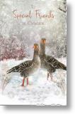 Greylag Geese, Special Friends Christmas Card