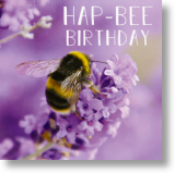 Hap-Bee Birthday, Birthday Card for Her