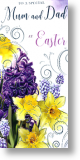 Hyacinths and Daffodils, Mum and Dad Easter Cards