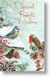 Robin and Bluetit, Special Friends Christmas Card