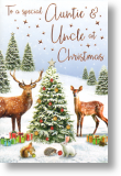 Special, Auntie and Uncle Christmas Card