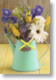 Turquoise Jug, Floral Blank Card