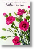 Carnations, Sister-in-law Birthday Card