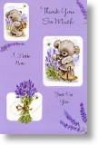 Lavender Bear