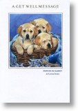 Labrador Puppies, Get Well Card