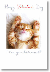 Cute Kitten, General Valentine's Day Card