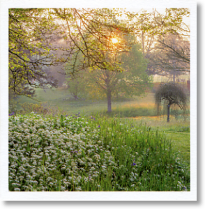 Forde Abbey, Scenic Blank Card