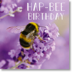 Hap-Bee Birthday, Birthday Card for Her