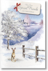 Hare in the Snow, Special Friends Christmas Card