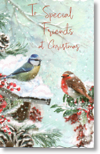 Robin and Bluetit, Special Friends Christmas Card