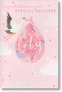 Special Delivery, New Baby Girl Card