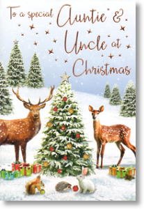 Special, Auntie and Uncle Christmas Card