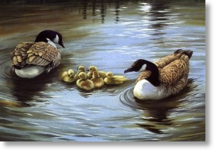 Duck Family, Animal Blank Card