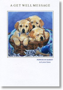 Labrador Puppies, Get Well Card