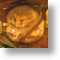 Dormouse, Animal Blank Card