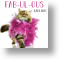 Fab-ul-ous Darling, Animal Blank Card