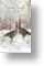 Greylag Geese, Special Friends Christmas Card